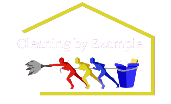 Cleaning By Example